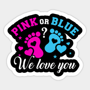 Gender reveal we love you Sticker